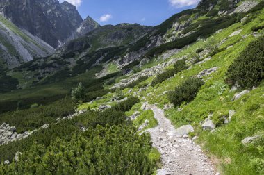 Mengusovska dolina, önemli hiking trail için yükseklik mount Rysy, yüksek Tatra Dağları, Slovakya, şaşırtıcı görüntülemek yeşil tepeler ve mavi gökyüzü ile