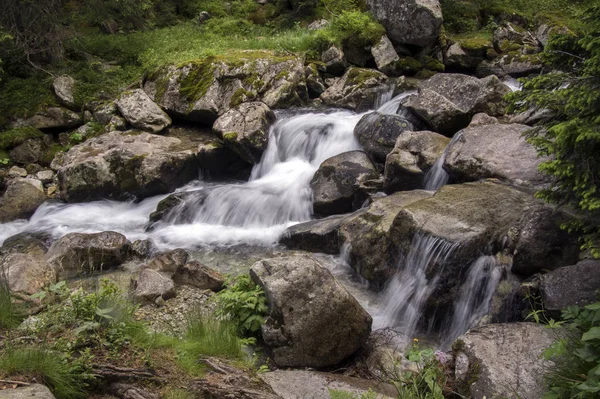 Agua Salvaje Arroyo Maly Studeny Potok High Tatras Temporada Turística — Foto de Stock