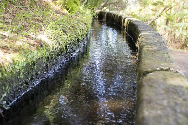 Levada Das Fontes Vista Detalhada Canal Irrigação Trilha Turística Rabacal — Fotografia de Stock