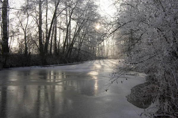 Romantic Icing Branches Frozen River Sunny Day Stock Picture
