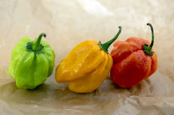 Drei Chilischoten Habanero Verschiedene Farben Auf Knitterbraunem Papier Mexikanische Küche — Stockfoto