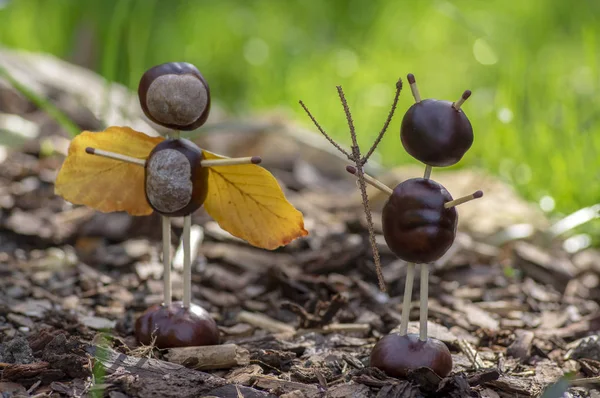 Figuras Ángel Diablo Hechas Castañas Cerillas Seguridad Hojas Secas Jardín — Foto de Stock