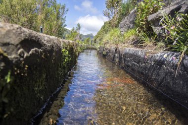 Levada 25 das fontes, sulama kanalı ayrıntı görünümü, iz, Rabacal, Madeira Adası, Portekiz hiking turistik