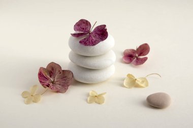 Beyaz arka planda, uyum ve denge, cairns, basit duruş taş rock zen heykel, beş beyaz çakıl, tek kule, basitlik, Kuru ortanca beyaz ve kırmızı çiçek