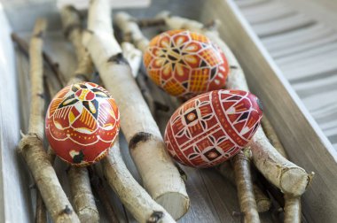 Ev yapımı el yapımı kırmızı Paskalya yumurta ve ahşap tepsi, geleneksel Çek, Easter egg hunt, huş ağacı dalları üzerinde şeritler ile kamçı