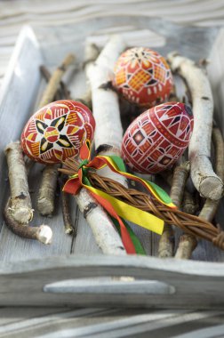 Ev yapımı el yapımı kırmızı Paskalya yumurta ve ahşap tepsi, geleneksel Çek, Easter egg hunt, huş ağacı dalları üzerinde şeritler ile kamçı
