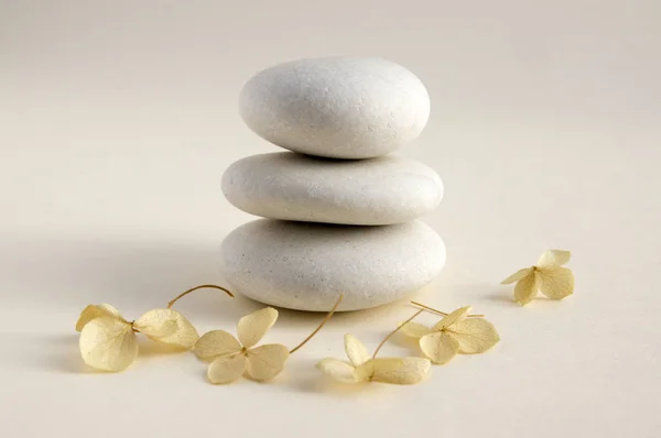 Harmony and balance, cairns, simple poise stones on white background, rock zen sculpture, five white pebbles, single tower, simplicity, dry hydrangea white and red flower