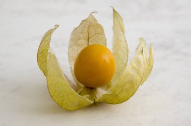 Physalis peruviana, Cape bektaşi üzümü, Inca berry, Aztek berry, golden berry, dev zemin kiraz, Afrika zemin kiraz, Peru groundcherry olgunlaşmış meyve