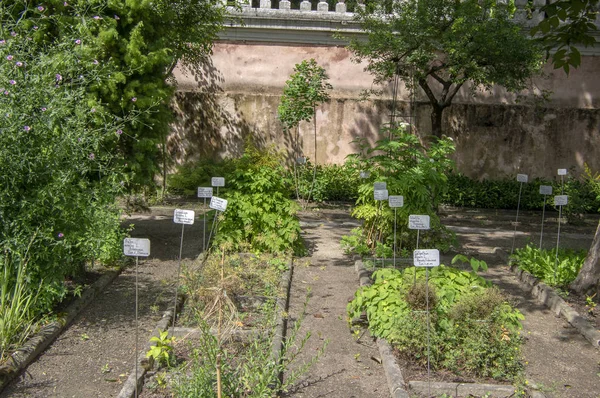 Jardín Botánico Padua Italia Junio 2018 Hermosas Señales Metálicas Manuscritas — Foto de Stock