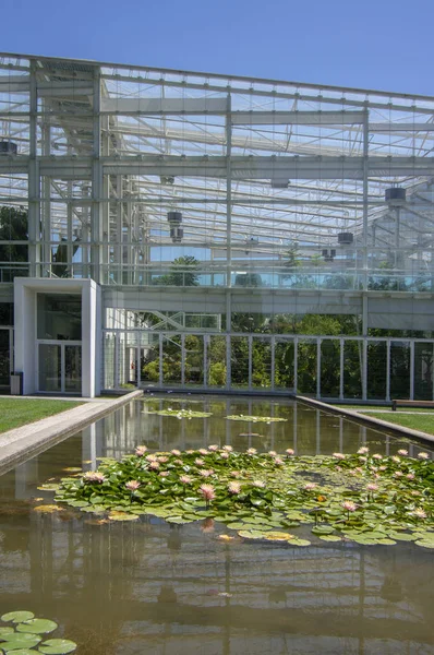 Botanik Bahçesi Padova / İtalya - 16 Haziran 2018: güneş ışığı, mavi gökyüzü Padova'deki tarihsel botanik bahçesinde güzel yeni çok modern sera