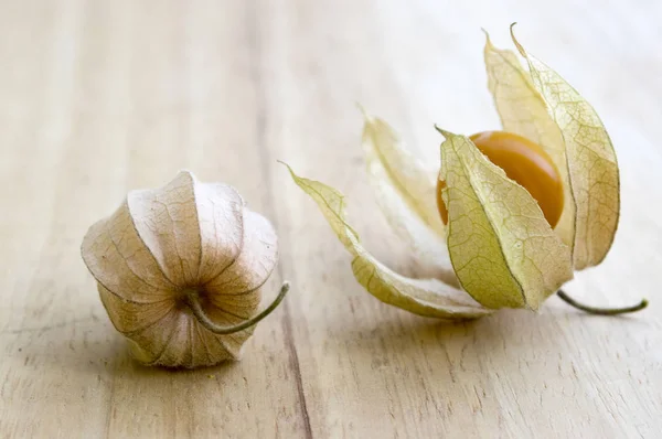 Physalis Peruviana Kapstachelbeere Inka Beere Azteken Beere Goldbeere Riesenkirsche Afrikanische — Stockfoto