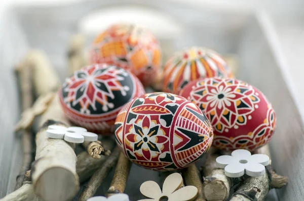 Домашнє Фарбування Великодніх Яєць Ручної Роботи Березових Гілках Сірому Дерев — стокове фото