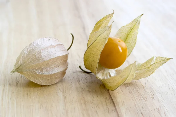 Physalis peruviana, Cape gooseberry, Inca berry, Aztec berry, golden berry, giant ground cherry, African ground cherry, Peruvian groundcherry ripened fruit