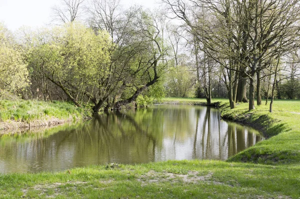 Floden Chrudimka Oxbow Våren Solig Dag Pardubice Platsen Heter Hästsko — Stockfoto
