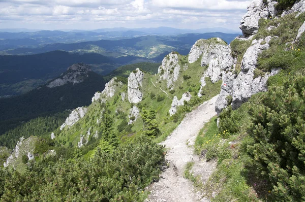 Way Mount Velky Rozsutec Lesser Fatra Low Fatra Mountains Slovakia — Stock Photo, Image