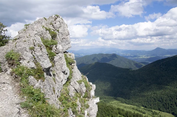 Way Mount Velky Rozsutec Lesser Fatra Low Fatra Mountains Slovakia — Stock Photo, Image