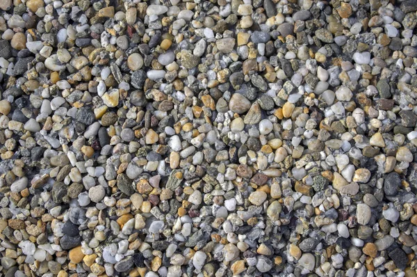 Μικρά Πολύχρωμα Βότσαλα Φόντο Μικροσκοπική Παραλία Πέτρες Διάφορα Χρώματα Στο — Φωτογραφία Αρχείου