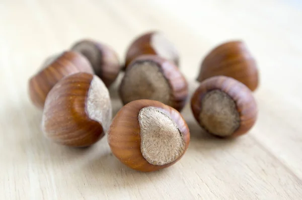 Corylus avellana nuts on wooden table, group of common hazel nuts in the shells