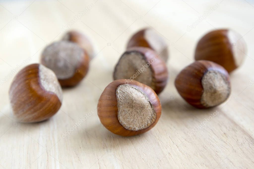 Corylus avellana nuts on wooden table, group of common hazel nuts in the shells