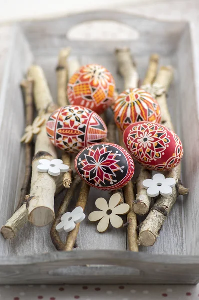 Huevos Pascua Pintados Mano Ramas Abedul Bandeja Madera Gris Huevos — Foto de Stock