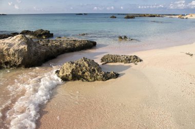 Yaz tatili Elafonisi plajda, güneybatı köşesinde Yunan Adası Crete, korumalı doğa rezerv Natura 2000