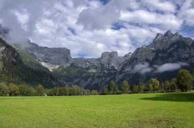 Avusturyalı Verfenveg Köyü Alp Dağları sonbahar sahne sis, çayırlar ve kayalar