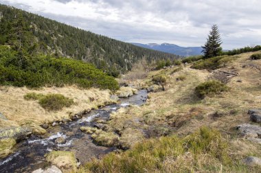 Labska bouda, şaşırtıcı sahne, erken ilkbahar, kar ve yeşillik doğa denilen güzel doğa yeri