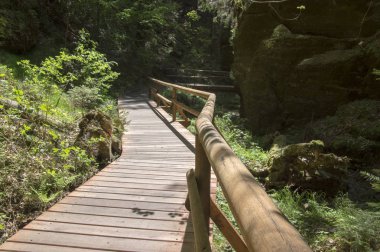 Wood and rock landscape in Bohemian Switzerland, Kammintz George rocky ravine, Saxon Switzerland National Park