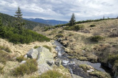 Labska bouda, şaşırtıcı sahne, erken ilkbahar, kar ve yeşillik doğa denilen güzel doğa yeri