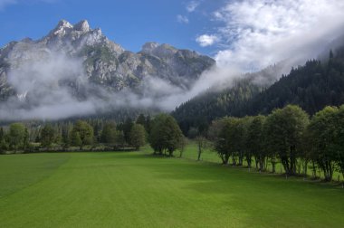 Avusturyalı Verfenveg Köyü Alp Dağları sonbahar sahne sis, çayırlar ve kayalar