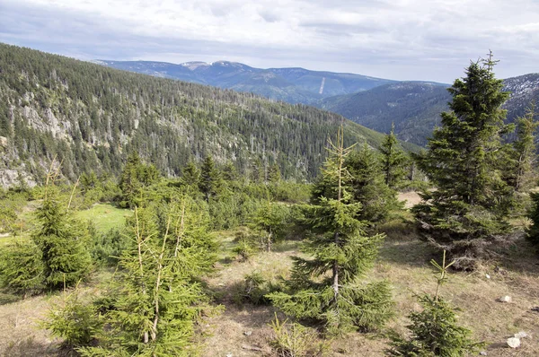 Labska bouda, şaşırtıcı sahne, erken ilkbahar, kar ve yeşillik doğa denilen güzel doğa yeri