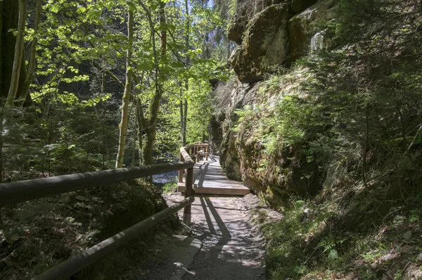 Wood and rock landscape in Bohemian Switzerland, Kammintz George rocky ravine, Saxon Switzerland National Park