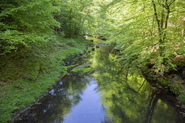 Paysage boisé et rocheux en Suisse bohème, Kammintz George ravin rocheux, Parc national de la Suisse saxonne — Photo