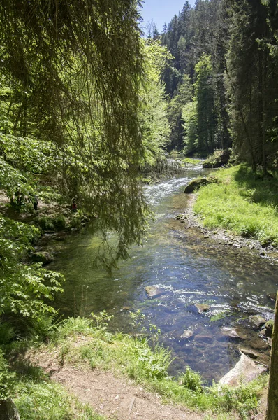 Paysage boisé et rocheux en Suisse bohème, Kammintz George ravin rocheux, Parc national de la Suisse saxonne — Photo