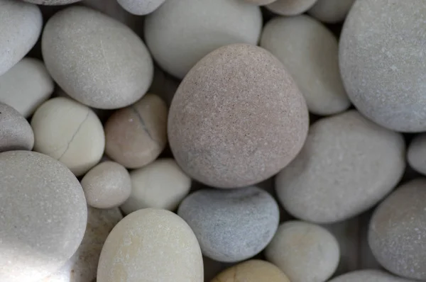 Grupp av vita, grå och ljus bruna stenar bakgrund, pebbles beach — Stockfoto