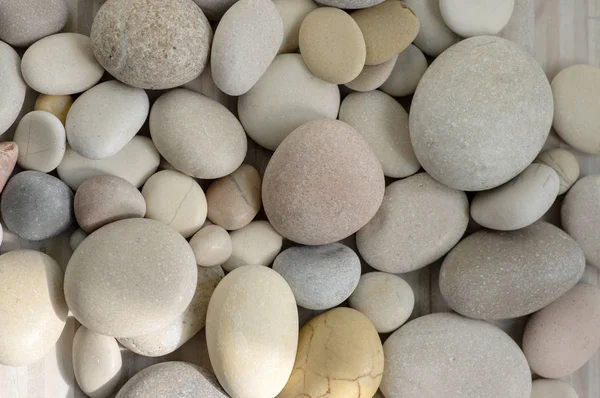 Grupa biały, szary i brązowy kamienie tło, kamyki plaży — Zdjęcie stockowe