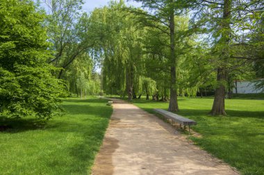 Ahşap tezgah, güzel söğüt ağaçları sokak ve kumlu yolu ile güneş ışığında yaz aylarında halka açık park