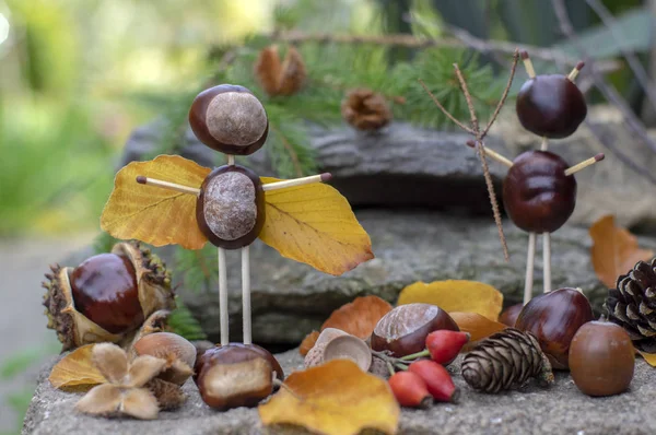 Bahçede kestane ve güvenlik kibritleri ve kuru yapraklardan yapılan melek ve şeytan figürleri
