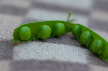 Pisum sativum pea green fruits in gree pods on brown background, tasty ripened sweet summer fruit, harvesting time, vegetables detail
