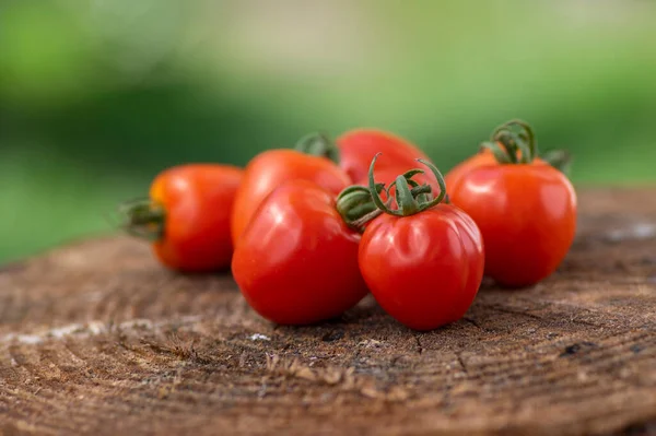 Grupo Tomates Morango Crus Vermelhos Saborosos Amadurecidos Solanum Lycopersicum Madeira — Fotografia de Stock