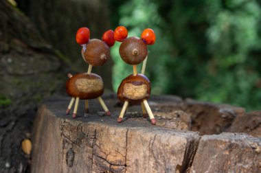 Kahverengi meşe palamudu, kestane, manolya ruh tohumları ve güvenlik kibritlerinden yapılmış organik hayvanlar.