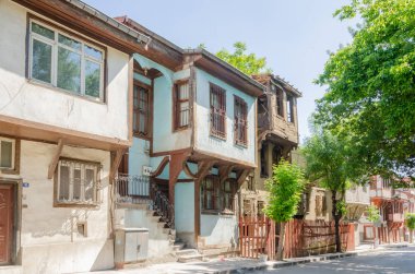 Sokak kedisi susuz ve o içecekler su Creek'ten.