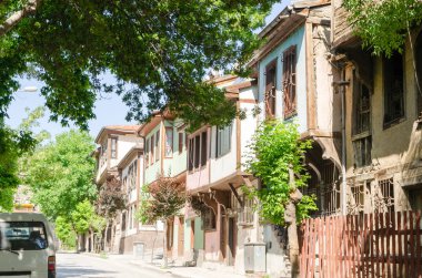 Sokak kedisi susuz ve o içecekler su Creek'ten.