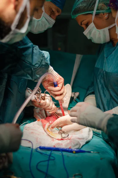 Equipe Cirurgião Está Operando Com Cuidado Concentração Durante Uma Cirurgia — Fotografia de Stock