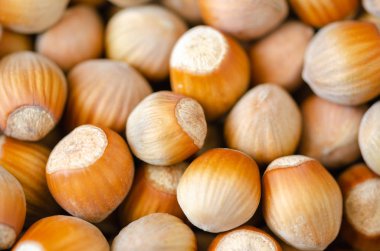 Fındık. Taze organik, fındık arka plan