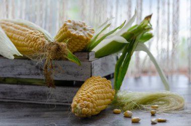 Mutfakta Ahşap sandık içinde üzerinde Mısır.