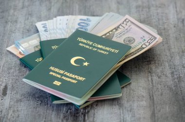 Türk yeşil özel pasaport ve banknot.