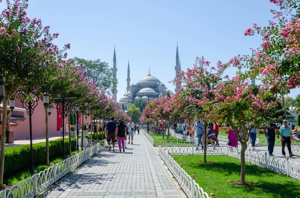Стамбул Туркий Сентября 2017 Года Голубая Мечеть Турецки Мечеть Султана — стоковое фото