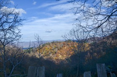 güzel orman manzarası ile canlı sonbahar sonbahar mevsim renkler
