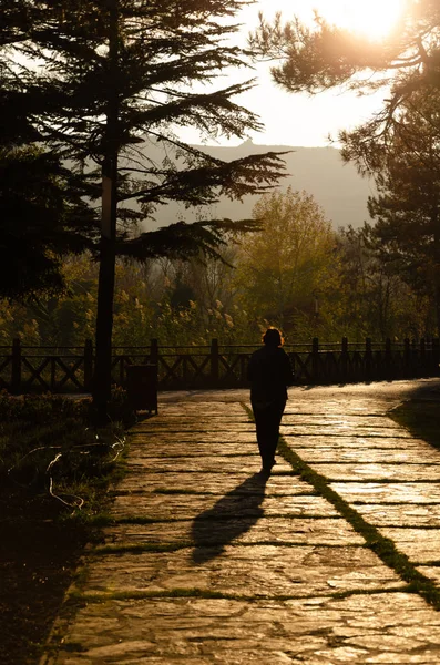 Alone woman is  walking alone into the sunset in summer.